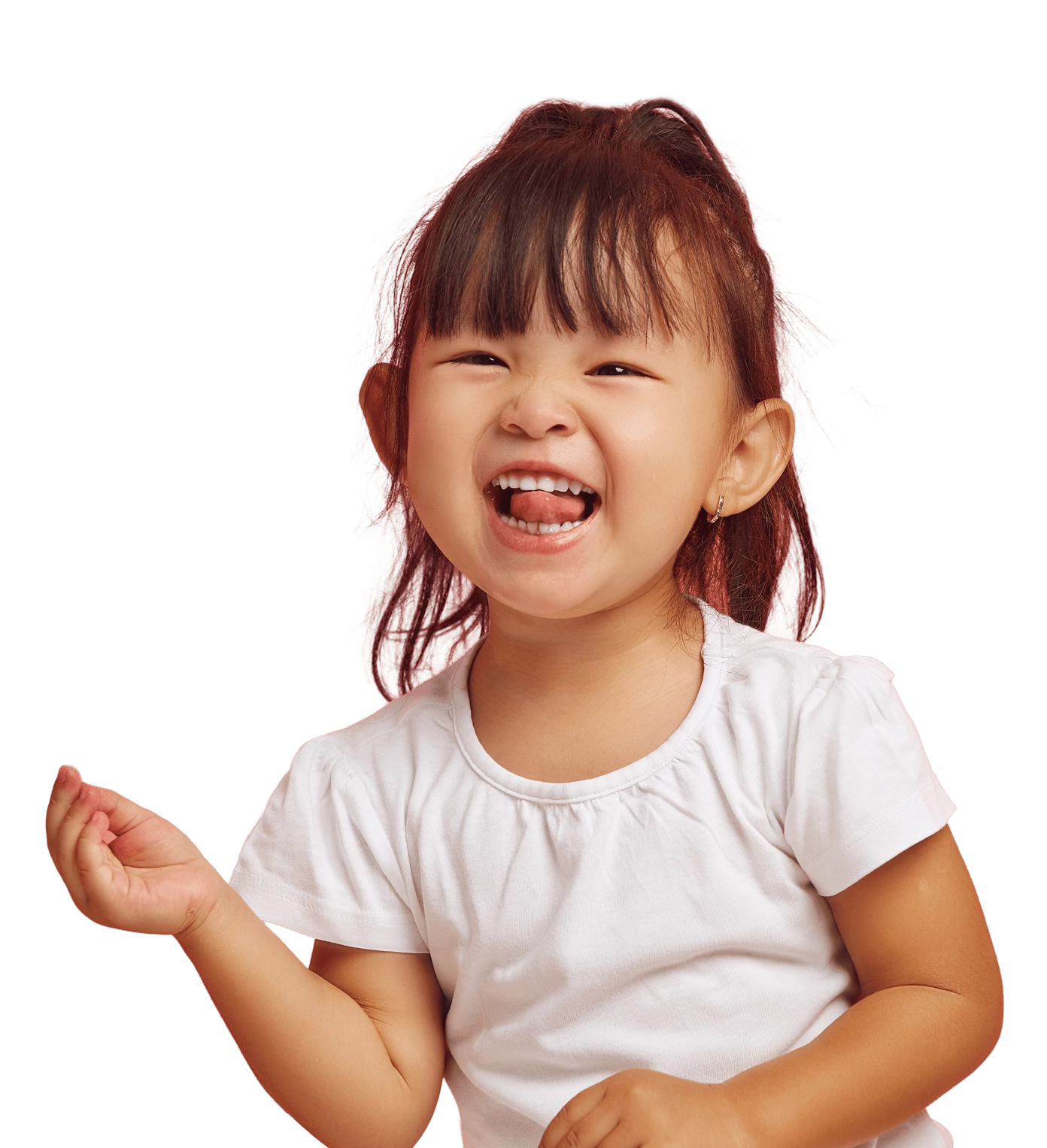 shutterstock_2453997005 1x