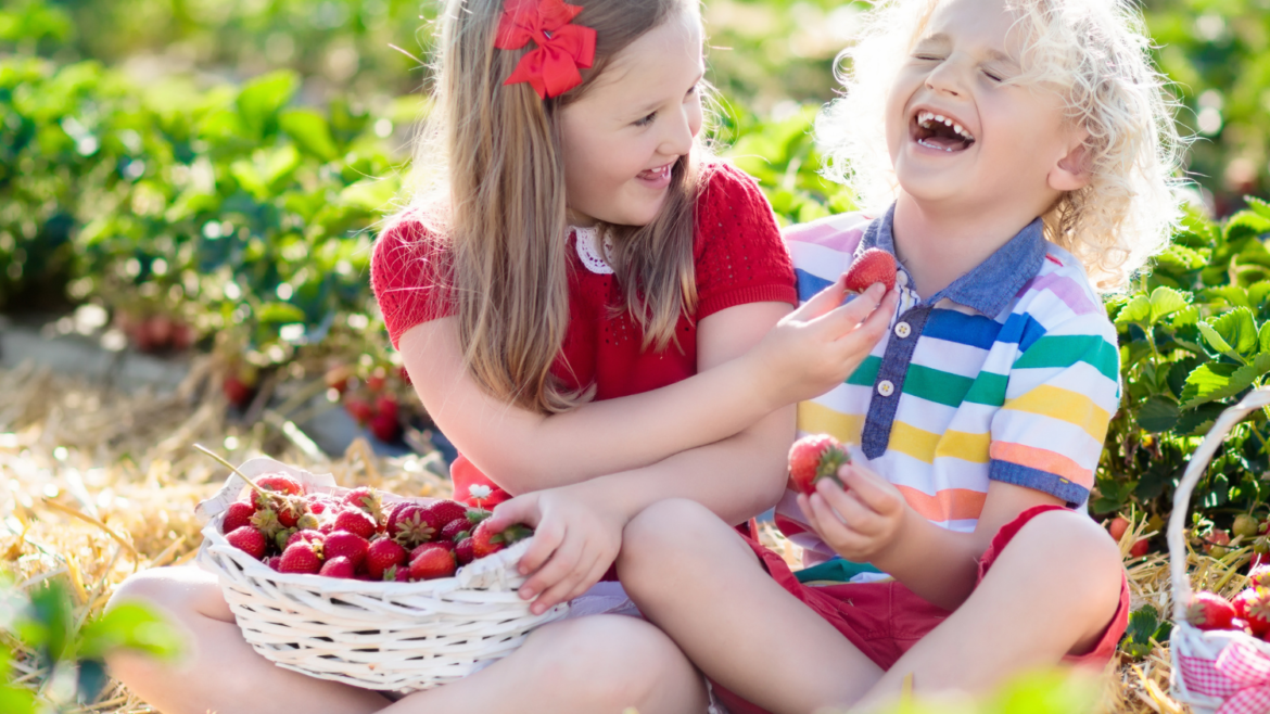Healthy & Sweet Summer Treats That Are Kid Approved!