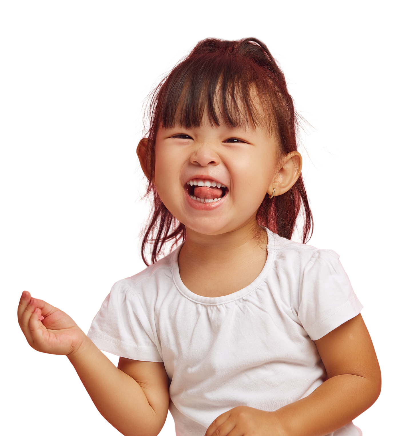 shutterstock_2453997005 1x